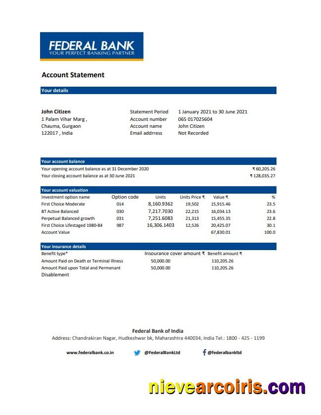 India Federal Bank statement easy to fill in .xls and .pdf file format